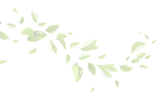 leaves-bottom