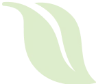 leaf-top